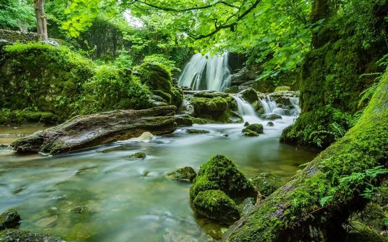 高端智慧无人化